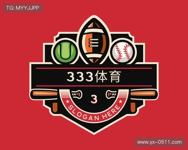 关于333体育官网